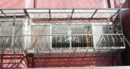 鍛造鐵窗 (1)